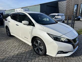 Schadeauto Nissan Leaf  2020/6