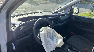 Volkswagen Caddy MODIFIED PARTITION WALL picture 9