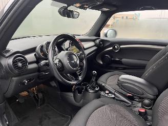 Mini One One Salt Business picture 10