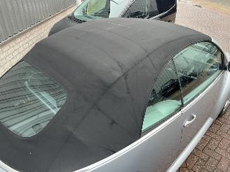 Volkswagen New-beetle Cabriolet 1.6 Trendline picture 8