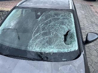 Opel Grandland X`1.2 Turbo Business + picture 11