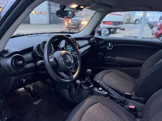 Mini One 1.5 One Salt picture 10