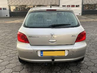 Peugeot 307 1.6-16V XS picture 5
