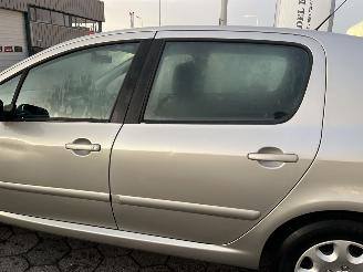 Peugeot 307 1.6-16V XS picture 8