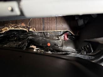 Marco Polo  Westfalia picture 23