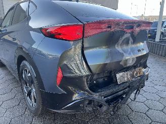 Cupra  TAVASCAN Business 82 kWh picture 10