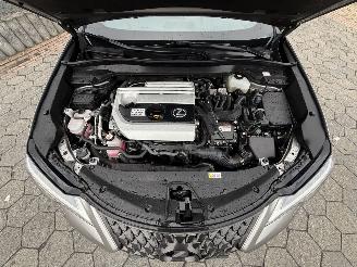 Lexus UX 250h Preference Line picture 9