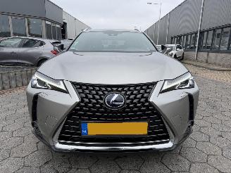 Lexus UX 250h Preference Line picture 2