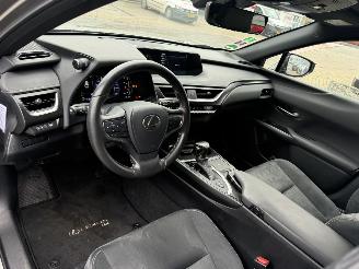Lexus UX 250h Preference Line picture 18
