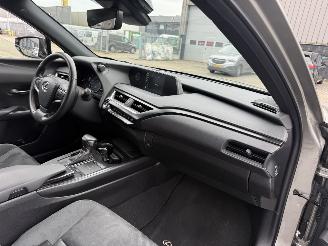 Lexus UX 250h Preference Line picture 17