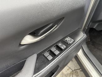 Lexus UX 250h Preference Line picture 10