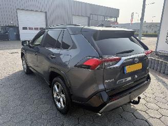 Toyota Rav-4 2.5 Hybrid AWD Style pano picture 6