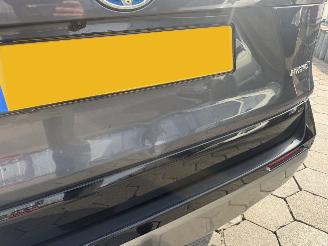 Toyota Rav-4 2.5 Hybrid AWD Style pano picture 7