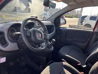 Fiat Panda 1.0 Hybrid City Cross picture 14
