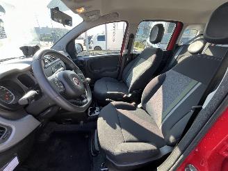 Fiat Panda 1.0 Hybrid City Cross picture 15