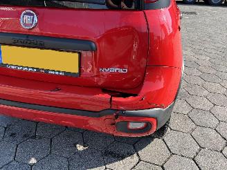 Fiat Panda 1.0 Hybrid City Cross picture 8