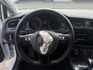 Volkswagen e-Golf E-golf picture 15