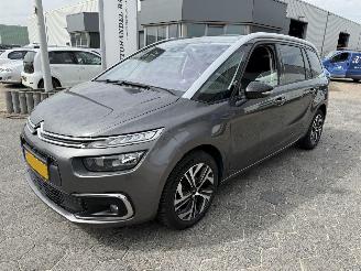 Avarii autoturisme Citroën C4 SpaceTourer 1.2 PureTech Business 2022/6