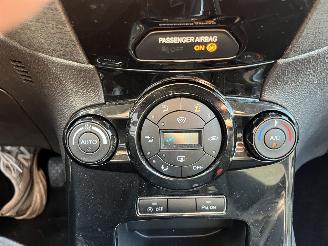 Ford Fiesta 1.0 EcoBoost Titanium picture 19