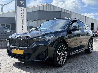 Schadeauto BMW iX1 xDrive30 67 kWh 2023/8