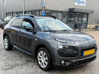 Citroën C4 cactus 1.2 PureTech Business picture 3