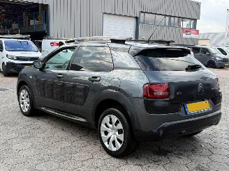 Citroën C4 cactus 1.2 PureTech Business picture 6