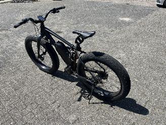 Overige  MOUNTAIN BIKE E BIKE. picture 3
