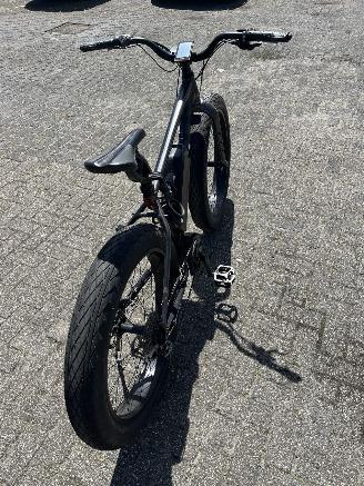 Overige  MOUNTAIN BIKE E BIKE. picture 4
