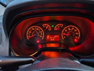 Fiat Doblo Cargo 1.3 MultiJet AIRCO TREKHAAK MARGE picture 10