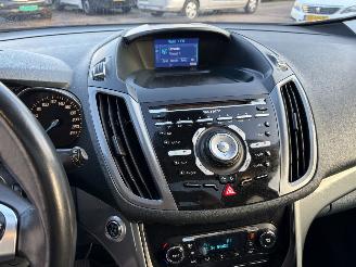 Ford Grand C-Max 1.0 Titanium 7-pers. TREKHAAK PANORAAMA picture 18