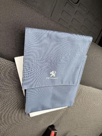 Peugeot Expert 1.5 BlueHDI LONG Premium picture 16