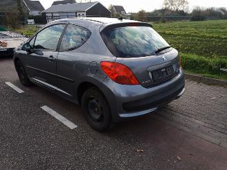 Peugeot 207 1.4 picture 4