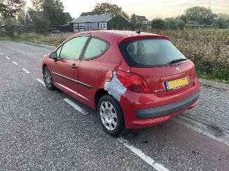 Peugeot 207 1.4-16v picture 4