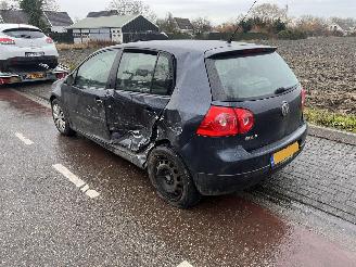 Volkswagen Golf 1.4-16V picture 4