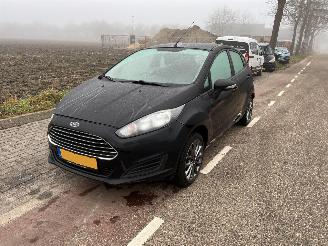 Ford Fiesta 1.25-16V Titanium picture 2