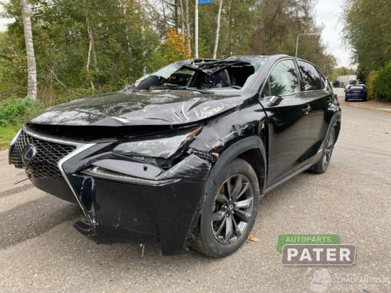 Lexus NX NX I (Z1), SUV, 2014 300h 2.5 16V 4x4