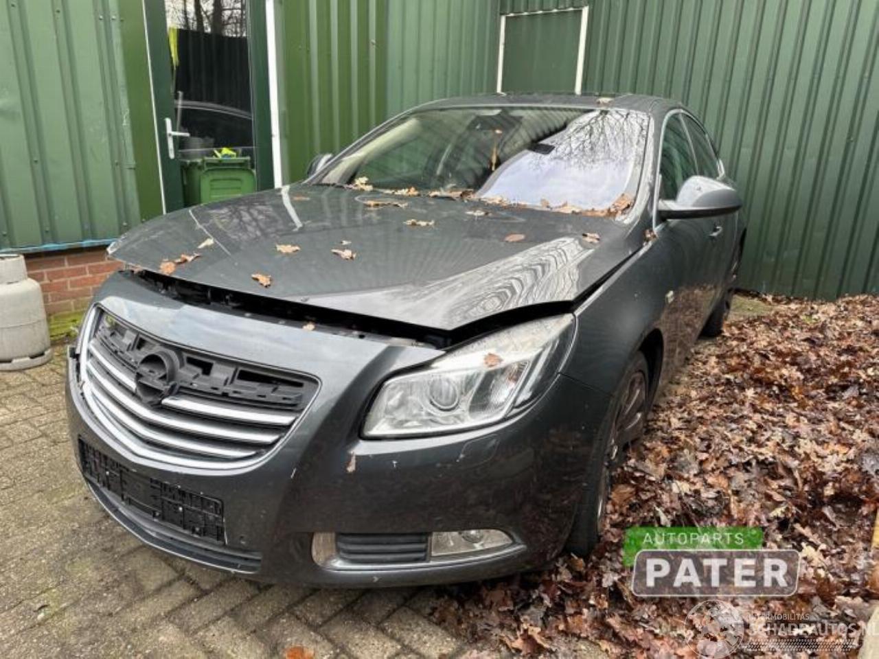 Opel Insignia Insignia, Hatchback 5-drs, 2008 / 2017 2.0 Turbo 16V Ecotec