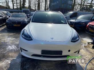 Tesla Model Y Model Y (5YJY), SUV, 2019 Long Range,Performance picture 2