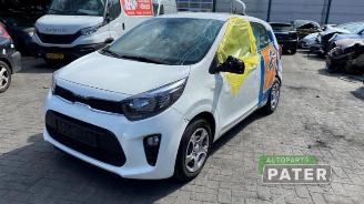 Sloopauto Kia Picanto Picanto (JA), Hatchback, 2017 1.0 DPi 12V 2023/10