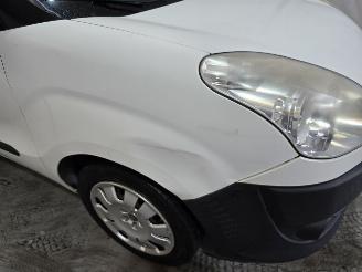 Fiat Doblo Cargo 1.3 M-Jet Maxi picture 11