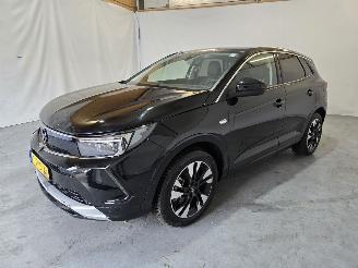 Opel Grandland 1.6 TurboHy Level 3 picture 3