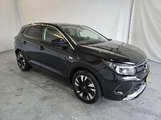 krockskadad bil auto Opel Grandland 1.6 TurboHy Level 3 2023/9