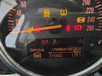 Mini One 1.2 Salt picture 21