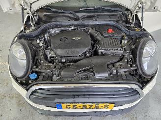 Mini One 1.2 Salt picture 15