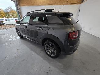 Citroën C4 cactus 1.2 PureTech Shine picture 5