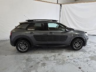 Citroën C4 cactus 1.2 PureTech Shine picture 8