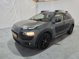 Citroën C4 cactus 1.2 PureTech Shine picture 3