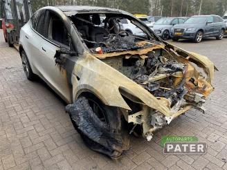 Tesla Model Y Model Y (5YJY), SUV, 2019 Long Range,Performance AWD picture 2