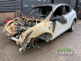 disassembly passenger cars Tesla Model Y Model Y (5YJY), SUV, 2019 Long Range,Performance AWD 2022/11