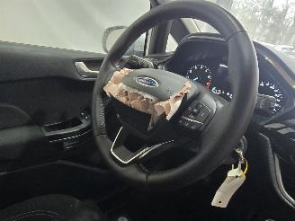 Ford Fiesta 1.0 EcoBoost Hybrid Titanium picture 17